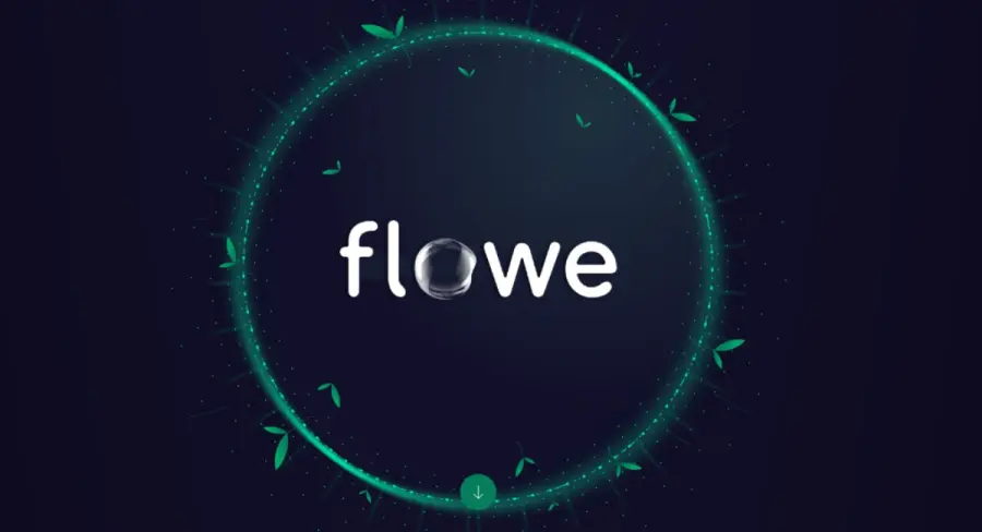 Carta Conto Flowe: Cos'è, come funziona, quanto costa? Analisi completa.