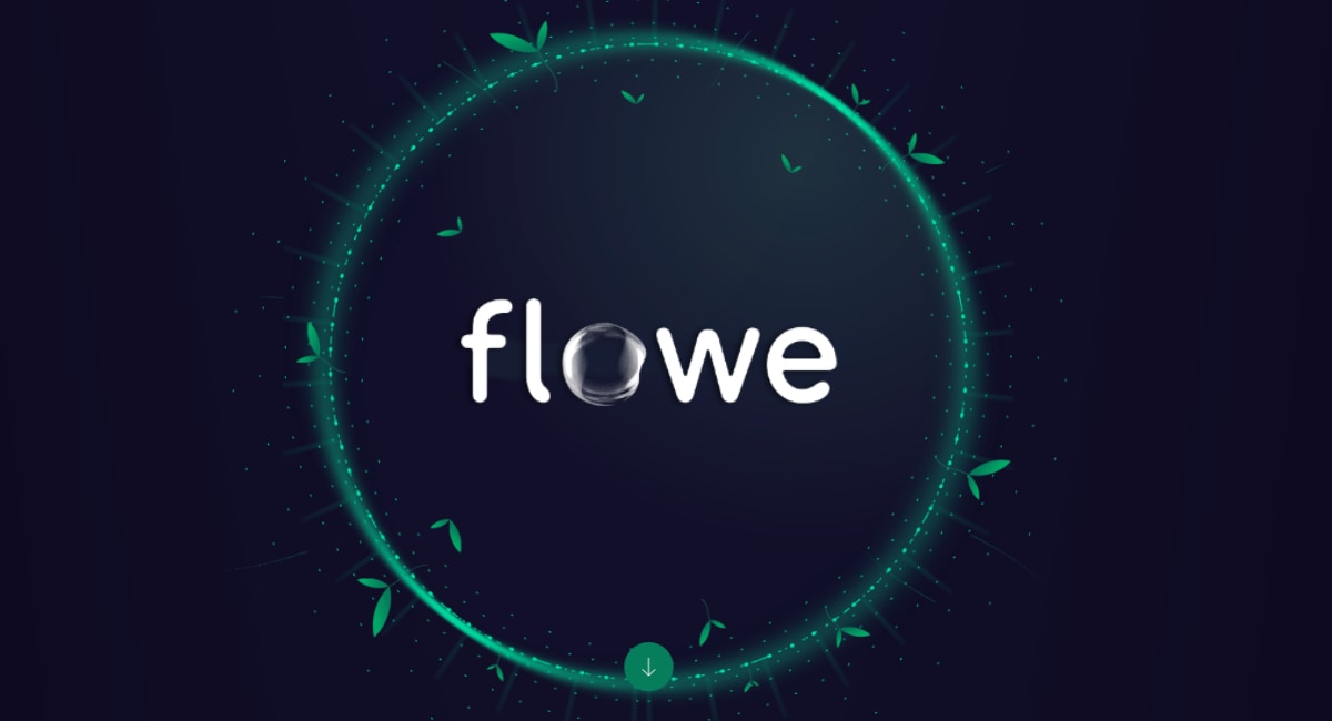 Carta Conto Flowe: Cos'è, come funziona, quanto costa? Analisi completa.