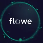 Carta Conto Flowe: Cos'è, come funziona, quanto costa? Analisi completa.